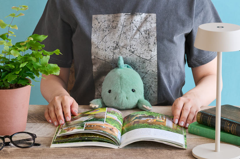 Posture Pal - Dinosaur - Tyrannosaurus / Triceratops / Stegosaurus -