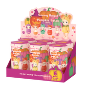 Pumpkin Patch Series Assorted Box (Box of 6)